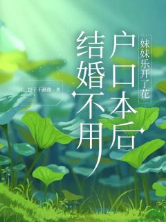 结婚不用户口本后，妹妹乐开了花精选小说推荐
