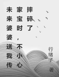 未来婆婆送我传家宝时，不小心摔碎了全文版