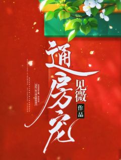 通房宠精选小说
