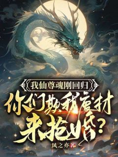 我仙尊魂刚回归，你们欺我废柴来抢婚？畅销巨作