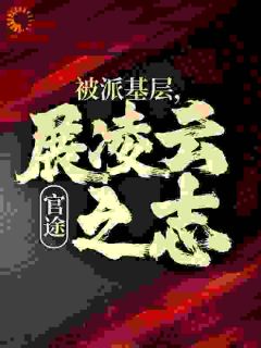 官途：被派基层，展凌云之志完整版
