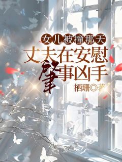 女儿被撞那天，丈夫在安慰肇事凶手全文版