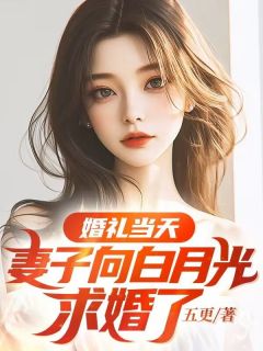 婚礼当天，妻子向白月光求婚了热门小说