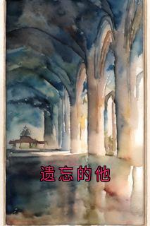 遗忘的他优秀文集