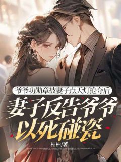 爷爷功勋章被妻子点天灯抢夺后，妻子反告爷爷以死碰瓷完整文集阅读