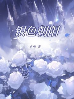 银色朝阳畅销巨作