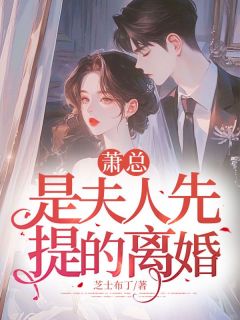 萧总，是夫人先提的离婚畅销小说推荐