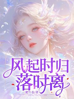 风起时归落时离全本阅读