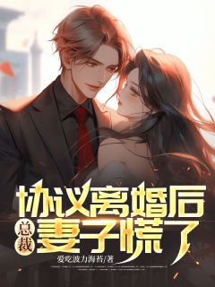 协议离婚后，总裁妻子慌了畅销巨作