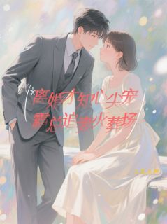 离婚才知心尖宠，霸总追妻火葬场全集小说推荐