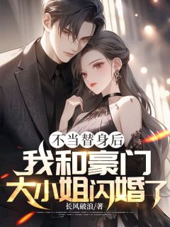 不当替身后，我和豪门大小姐闪婚了全集小说推荐