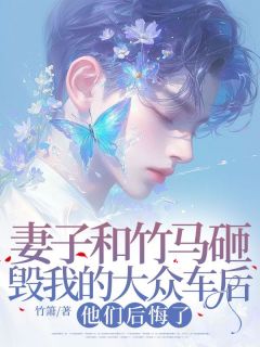 妻子和竹马砸毁我的大众车后，他们后悔了最新热门小说
