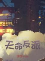 天命反派全集小说