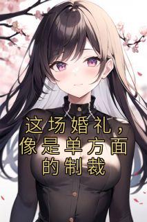 这场婚礼，像是单方面的制裁全集小说推荐