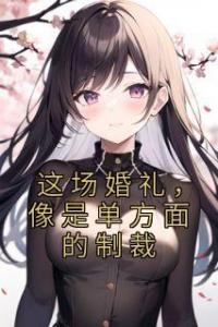 这场婚礼，像是单方面的制裁全集小说推荐
