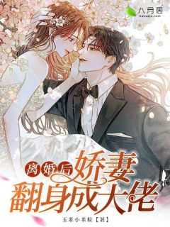 离婚后，娇妻翻身成大佬全集小说