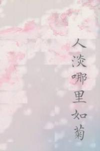 人淡哪里如菊全文阅读