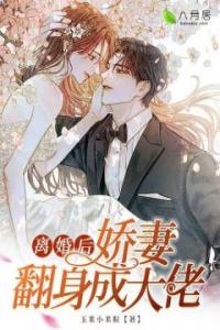 离婚后，娇妻翻身成大佬全集小说