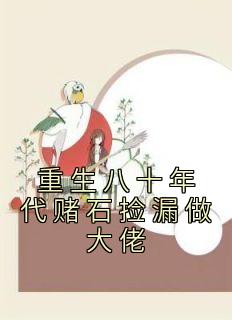 重生八十年代赌石捡漏做大佬高质量小说