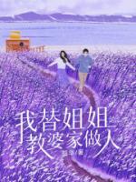 我替姐姐教婆家做人全集小说推荐