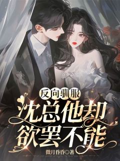 反向驯服，沈总他却欲罢不能全章阅读