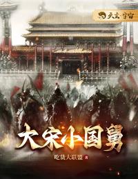 大宋小国舅全文版