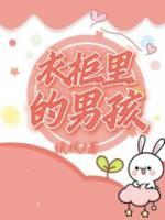 衣柜里的男孩精选小说