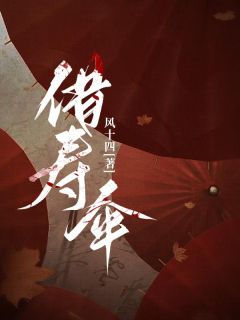 借寿伞精选小说