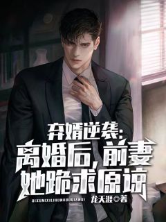 弃婿逆袭：离婚后，前妻她跪求原谅畅销巨著