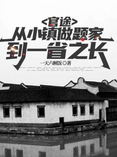 官途：从小镇做题家到一省之长精选小说