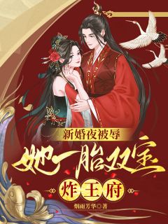 新婚夜被辱，她一胎双宝炸王府精选小说