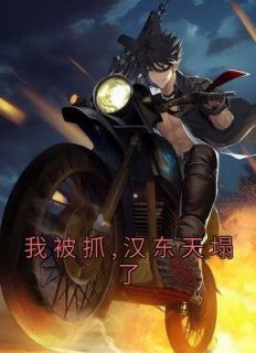我被抓,汉东天塌了长篇小说