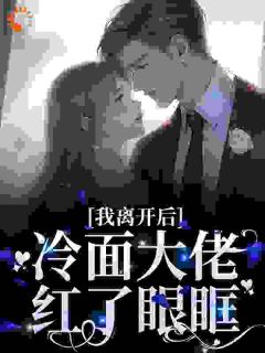 我离开后，冷面大佬红了眼眶全集小说