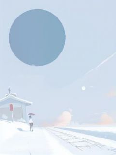 妻子为白月光点燃满城烟火畅销巨作