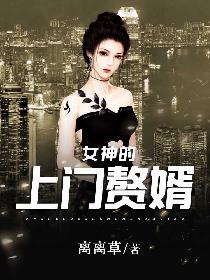 女神的上门赘婿精品小说