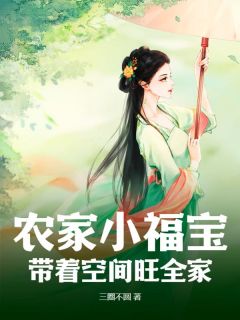 农家小福宝，带着空间旺全家高质量小说