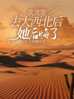 我请愿去大西北后，她后悔了全章阅读