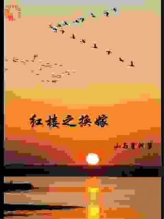 红楼之换嫁全本阅读