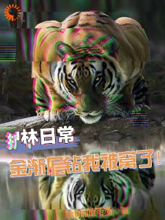 护林日常，金渐层钻我被窝了！全集小说推荐
