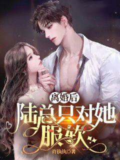离婚后，陆总只对她服软精选小说