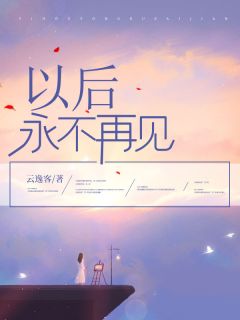 以后永不再见全集小说
