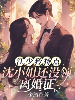江少矜持点！沈小姐还没领离婚证精选小说