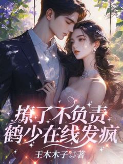 撩了不负责，鹤少 发疯全集小说推荐