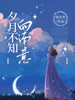 夕月不知向南意畅销巨著