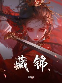 藏锦精品小说
