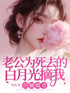 老公为死去的白月光摘我的蝴蝶骨完整文集阅读