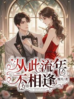 从此流年不相逢完整版