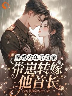 军婚六年不归家，带崽转嫁他首长全文阅读
