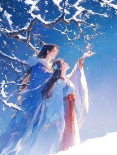 一月初九，中州大雪高质量小说