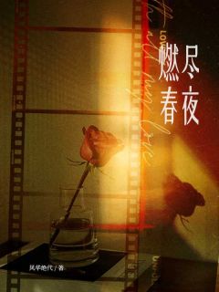 燃尽春夜完整阅读